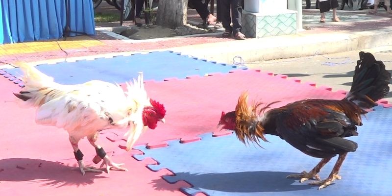 Loại hình thi đấu được đón chờ bậc nhất