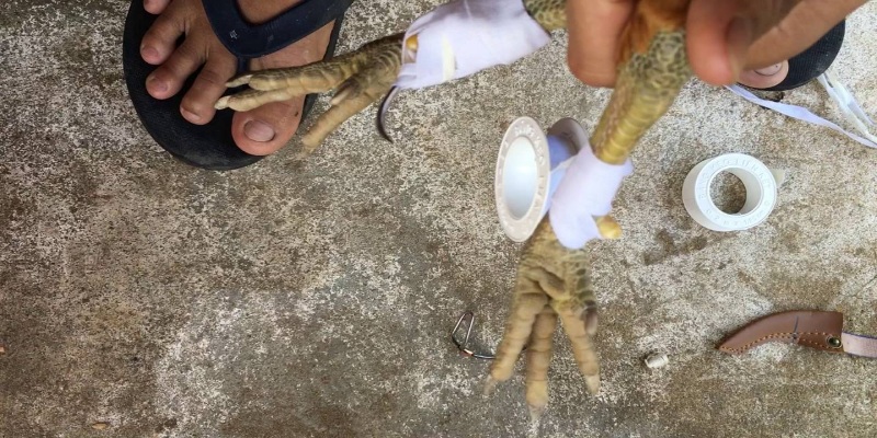 Vì sao cần băng cựa gà?