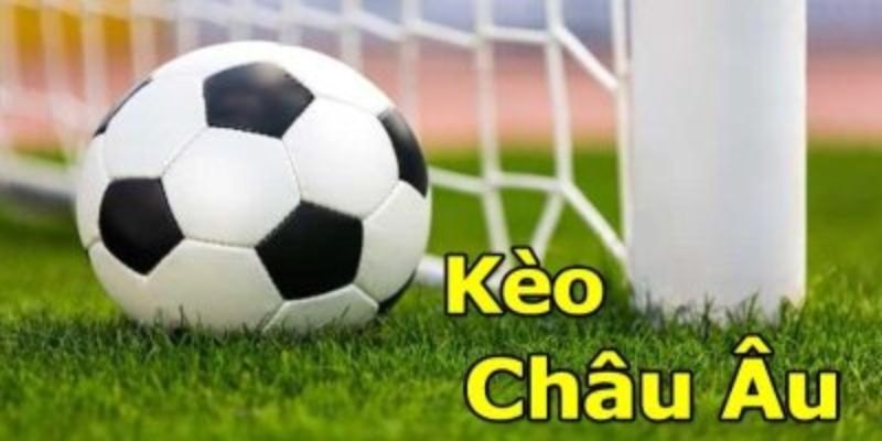Bí kíp chơi cược châu Âu đỉnh cao