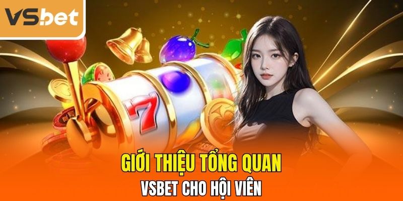 Giới thiệu tổng quan về VSBET cho hội viên