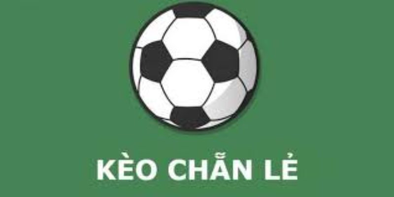 Loại hình cá cược chẵn lẻ tài xỉu